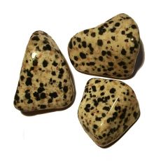 Tromlovaný kámen - Jaspis dalmatin XL