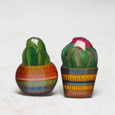 Náušnice - pecky kaktus