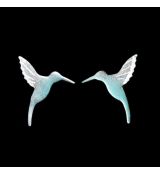 Náušnice smaltované - kolibřík