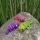 3D Chameleon MINI červenomodrý