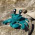 3D Krab