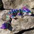 3D drak MAXI rainbow