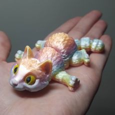 3D Kočka duhová perleť