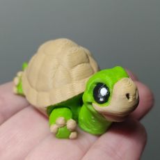 3D Želva MINI