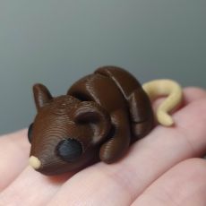 3D Myš MINI