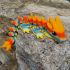 3D drak MAXI sunset