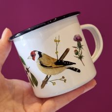 Plecháček - sýkora a stehlík