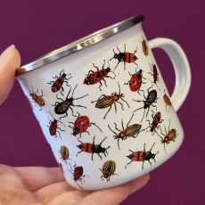 Plecháček - brouci