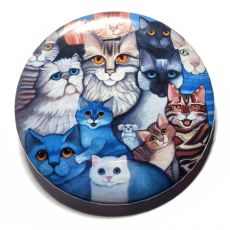 Zrcátko H - KOČIČÍ SMEČKA II