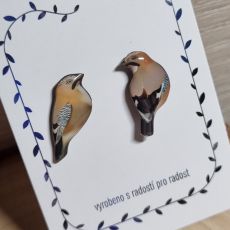 Náušnice - pecky sojka