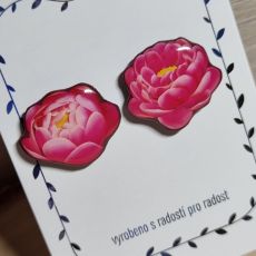 Náušnice - pecky pivoňky