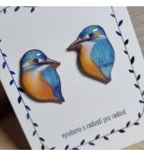 Náušnice - pecky ledňáček