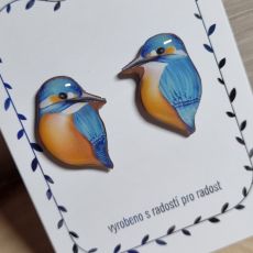 Náušnice - pecky ledňáček