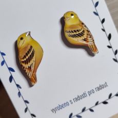 Náušnice - pecky strnad